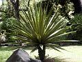 21a - Jardin Tropical 023